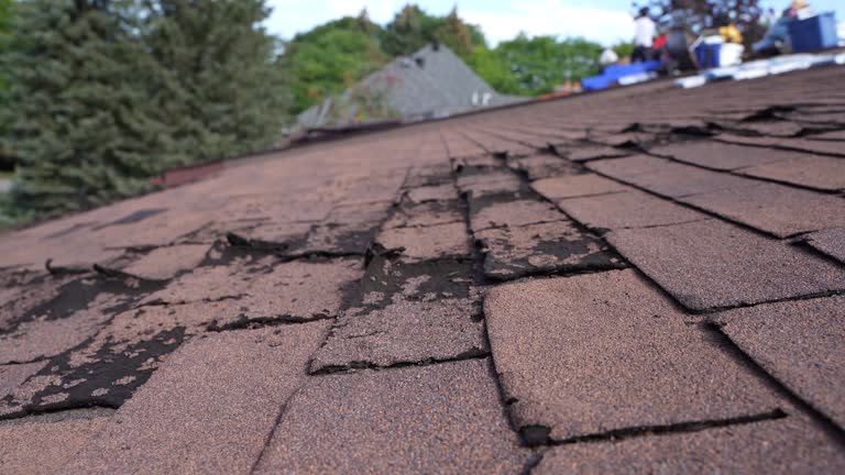 Best Roof Coating and Sealing  in Ocean City, NJ