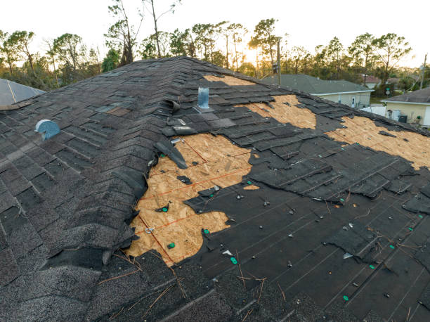 Best Flat Roofing  in Ocean City, NJ
